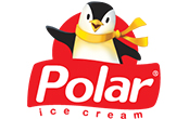Polar Ice-Cream